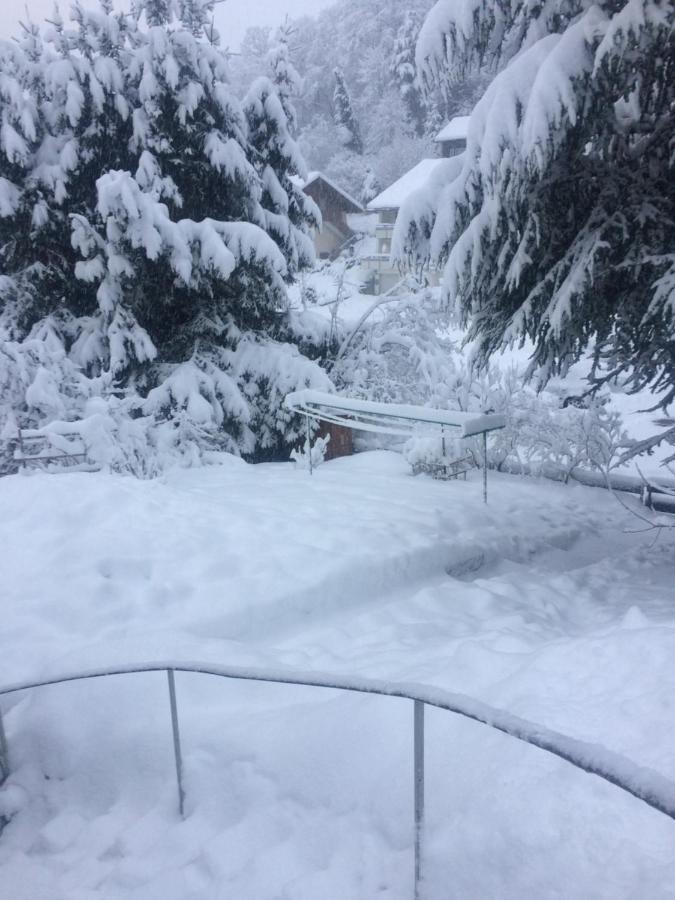 Ferienwohnung Ferien am Wald Baiersbronn Exterior foto